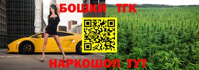 Альфа ПВП Обь
