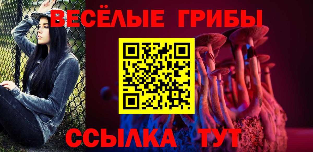 Реутов  Псилоцибиновые грибы мицелий  Вход с VPN 